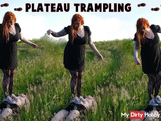 Plateau Trampling
