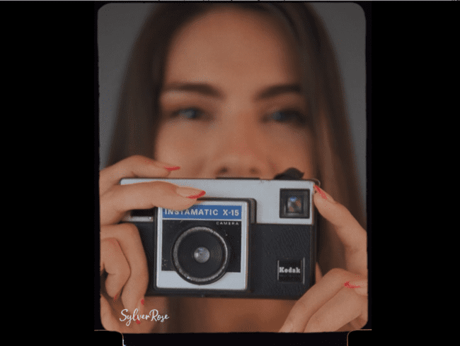 Vintage und erotische Rose