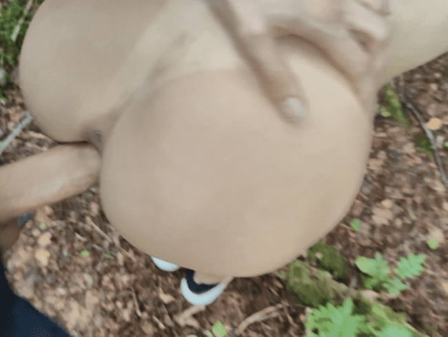 Im Wald nen Fremden Spaziergänger in den Büschen gefickt und hat mir auf den Arschgesprizt