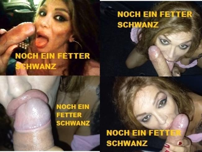 NOCH EIN FETTER SCHWANZ