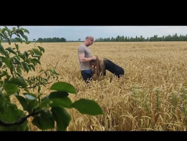 Eine Schönheit in einem Weizenfeld gefickt