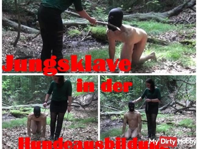 Jungsklave in der Hundeausbildung-Petplay