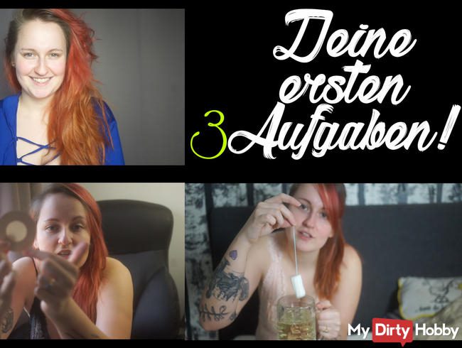 Deine ersten 3 Aufgaben!