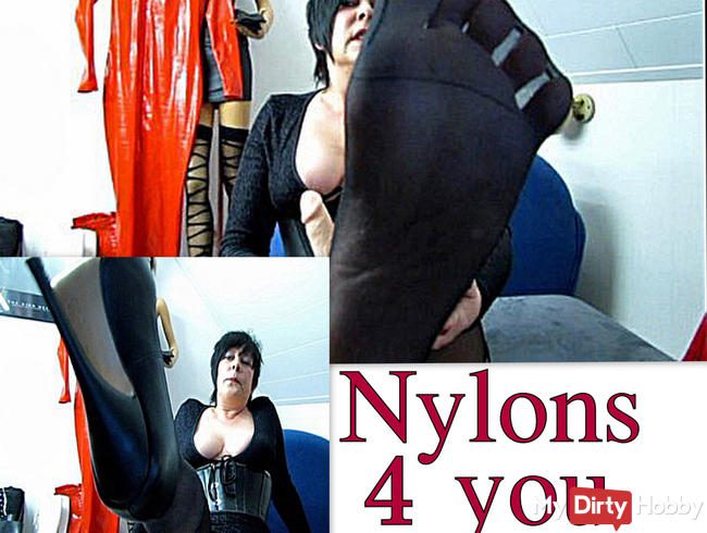 Nylon-Schwanzmassage gesucht?