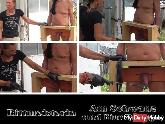 Am Schwanz und Eier Pranger MDH Version