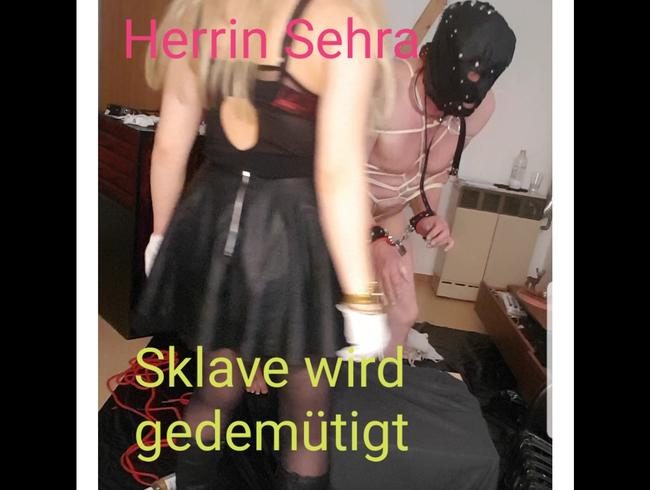 Sklave wird aus dem Käfig geholt , um mit ihm zu spielen! TEIL 4